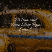 25 Spa and Deep Sleep Rain Sounds