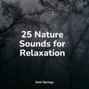 25 Nature Sounds for Relaxation