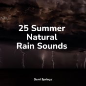 25 Summer Natural Rain Sounds