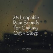 25 Loopable Rain Sounds for Chilling Out & Sleep