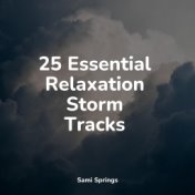 25 Essential Relaxation Storm Tracks