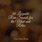 40 Loopable Rain Sounds for the Mind and Relax