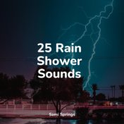 25 Rain Shower Sounds