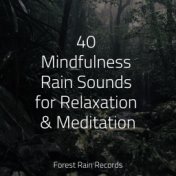 40 Mindfulness Rain Sounds for Relaxation & Meditation