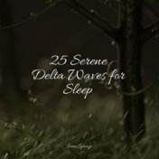 25 Serene Delta Waves for Sleep