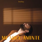 Mi-aduc aminte