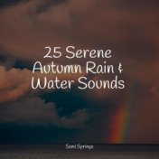 25 Serene Autumn Rain & Water Sounds