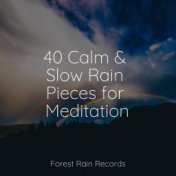 40 Calm & Slow Rain Pieces for Meditation