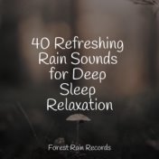 40 Refreshing Rain Sounds for Deep Sleep Relaxation