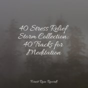40 Stress Relief Storm Collection: 40 Tracks for Meditation