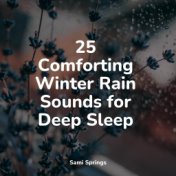 25 Comforting Winter Rain Sounds for Deep Sleep