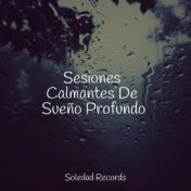 Sesiones Calmantes De Sueño Profundo