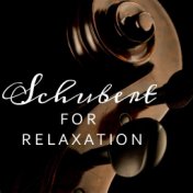 Schubert For Relaxation