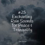 #25 Enchanting Rain Sounds for Peace & Tranquility