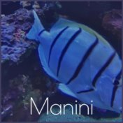 Manini