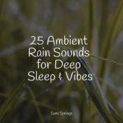 25 Ambient Rain Sounds for Deep Sleep & Vibes