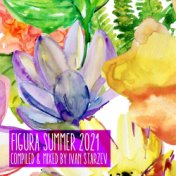 Figura Summer 2021