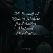 25 Sounds of Rain & Nature for Mother Natural Meditation