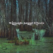 Wetlands Sound Effects - Feel the Atmosphere of Swamps and Living Animals