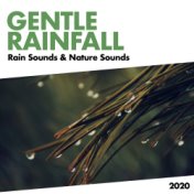 Gentle Rainfall