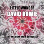 Little Wonder (Live)