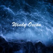 Windy Ocean