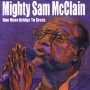 Mighty Sam McClain