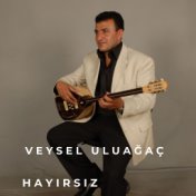 Hayırsız