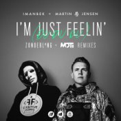 I'm Just Feelin' (Du Du Du) [Remixes]