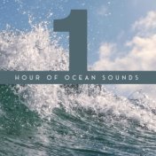 1 Hour of Ocean Sounds - Collection of Majestic Wave Sounds, Perfect New Age Background for Meditation, Relaxation, Sleep and St...