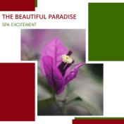 The Beautiful Paradise - Spa Excitement