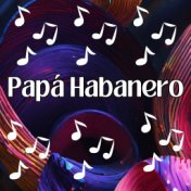 Papá Habanero (En Vivo)