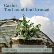 Tout nu et tout bronzeу (Anthology of French Hits 1973)