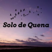 Solo de Quena