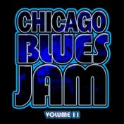 Chicago Blues Jam, Vol. 11 (Live)