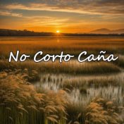 No Corto Caña