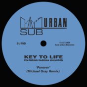 Forever (feat. Sabrina Johnston) (Michael Gray Remix)