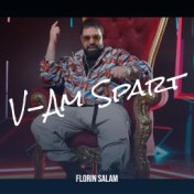 V-Am Spart