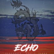 Echo