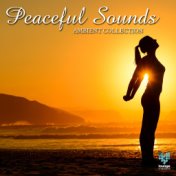 Peaceful Sounds Ambient Collection