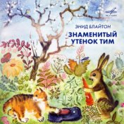 Энид Блайтон: Знаменитый утёнок Тим