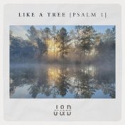 Like a Tree (Psalm 1)