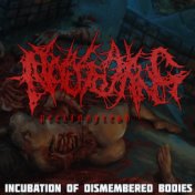 Incubation of Dismembered Bodies