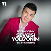 Sevgisi yolg'onim (remix by Dj Izzat)