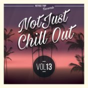 Not Just Chill Out Vol. 13