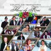 Colinde Din Transilvania (Flori De Rai)