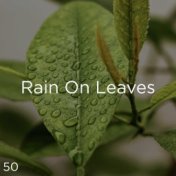 50 Rain On Leaves