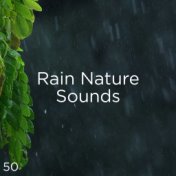 50 Rain Nature Sounds