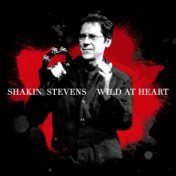 Wild At Heart (Neros Single Version)