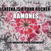Sheena Is a Punk Rocker (Live)